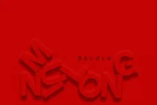 Delulu