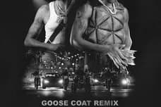 Goose Coat Remix