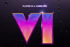 Flower In A Hurricane (GTA VI)